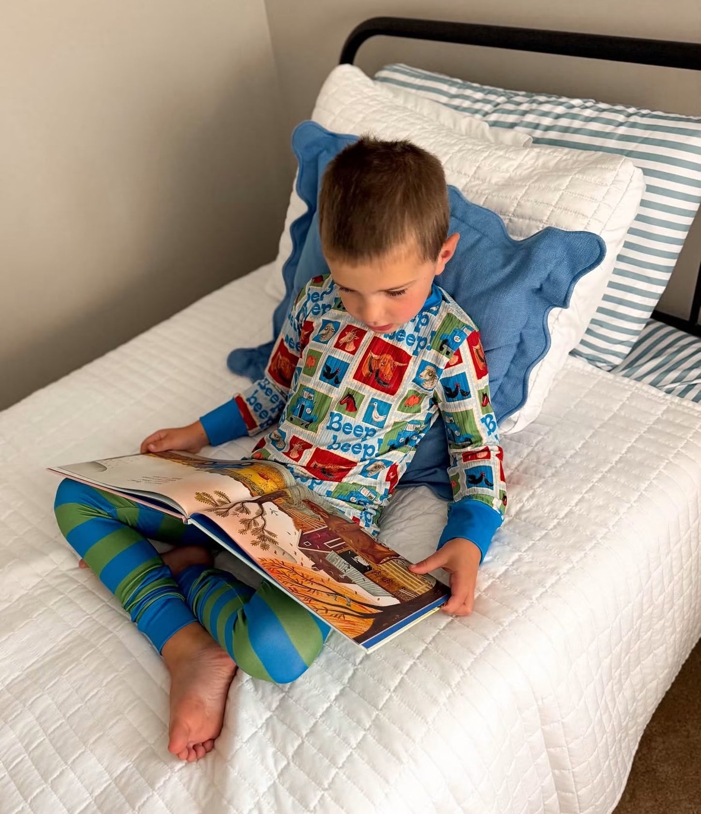 Aster Pjs