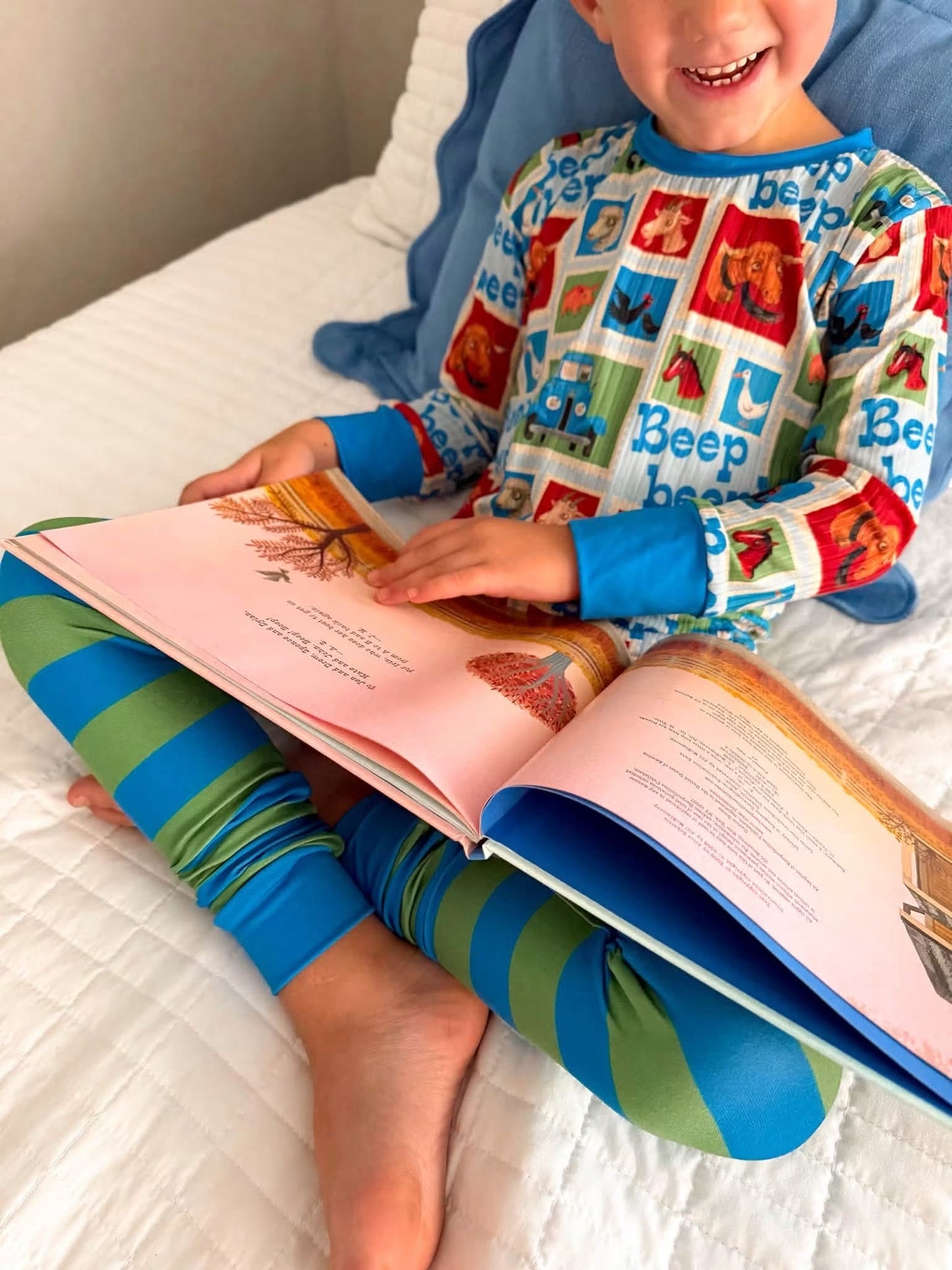 Aster Pjs