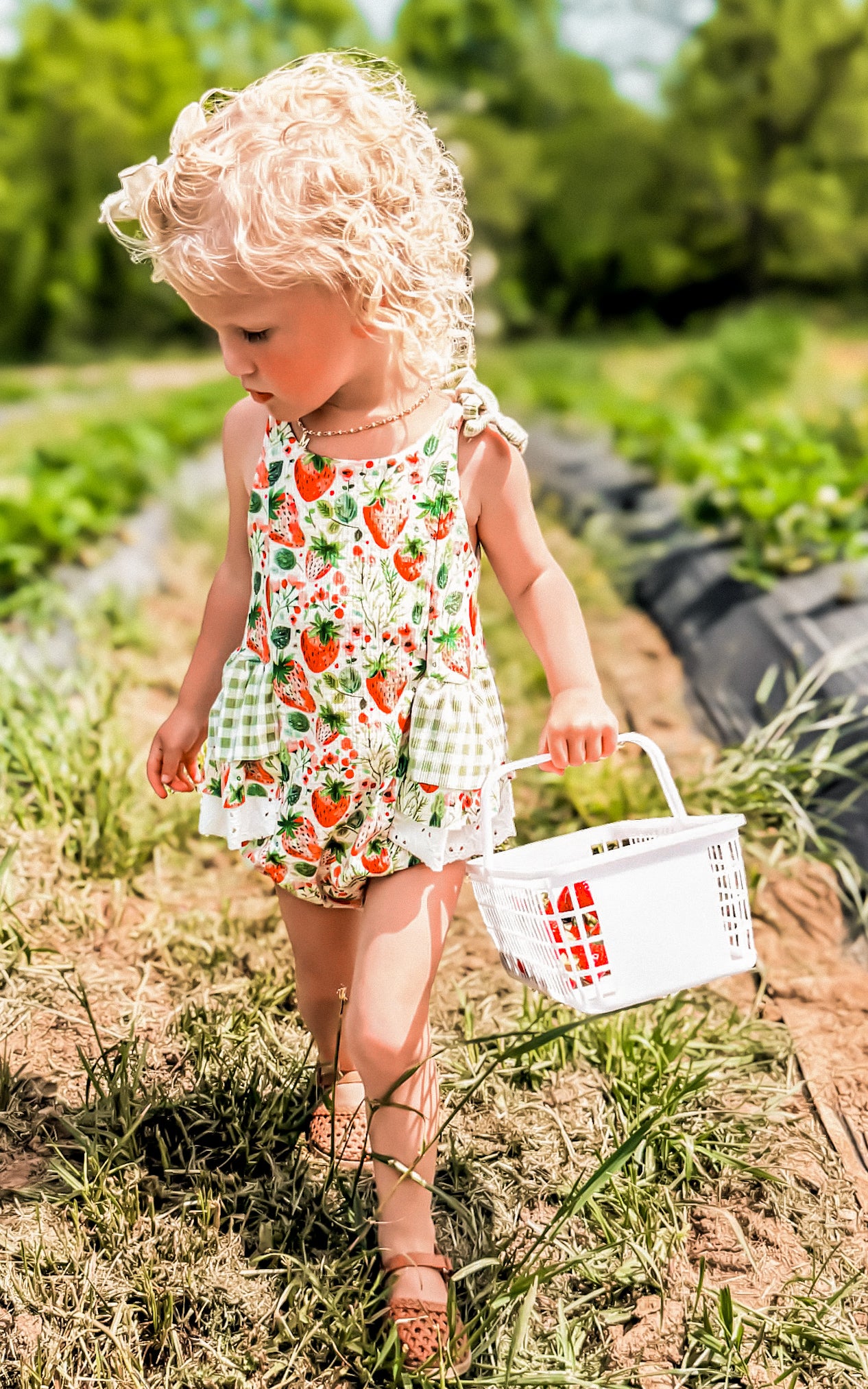 Summer Sweetness